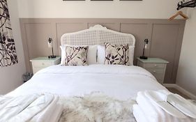 The Lilley Pad In Ludlow Cosy, Central, Perfect For Couples, Netflix & Parking Permit